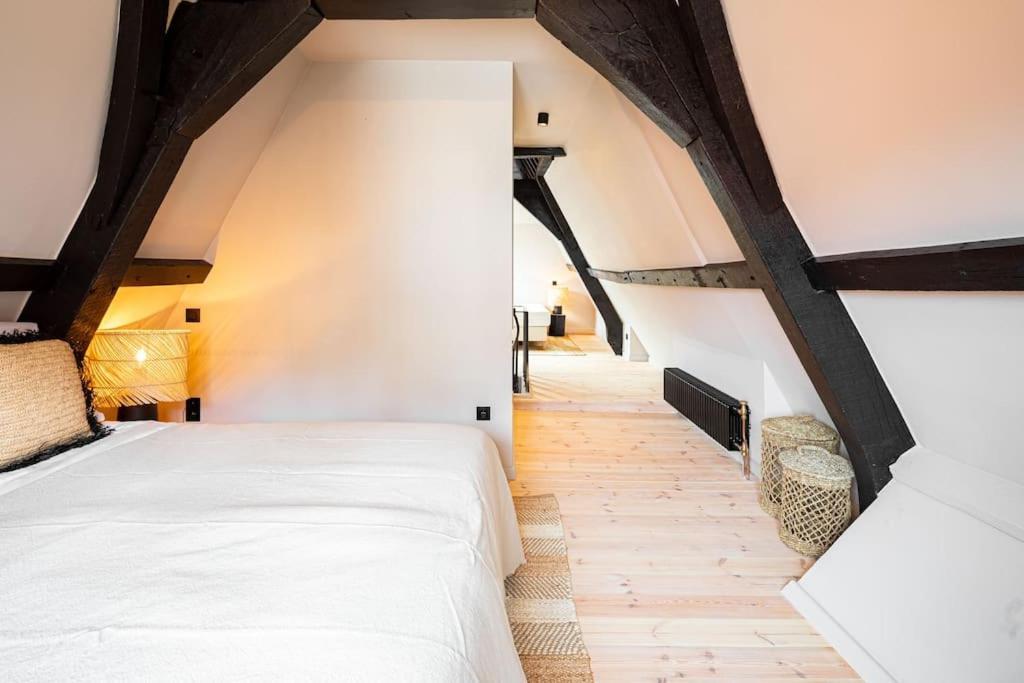Apartment Barolo Antwerp